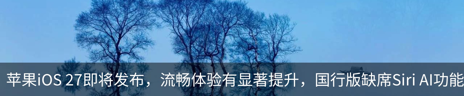 资讯动态